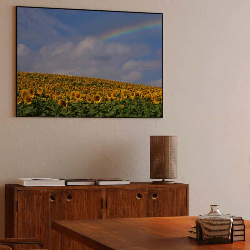 Campo de girasoles con arcoíris. thumbnail 3