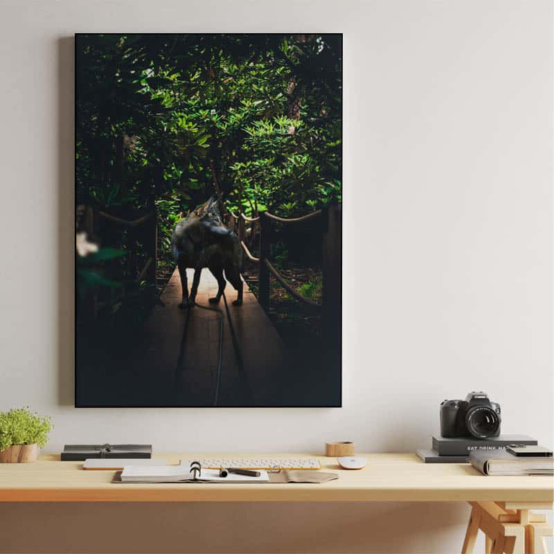 Photogenic wolf thumbnail 2