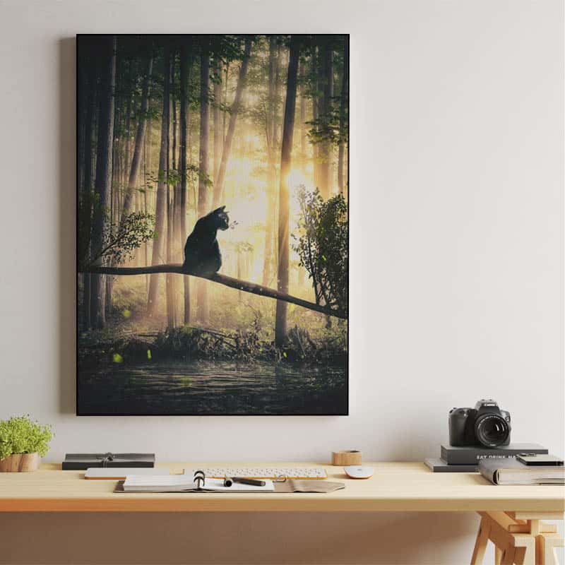 Cat, Sun and Forest thumbnail 2