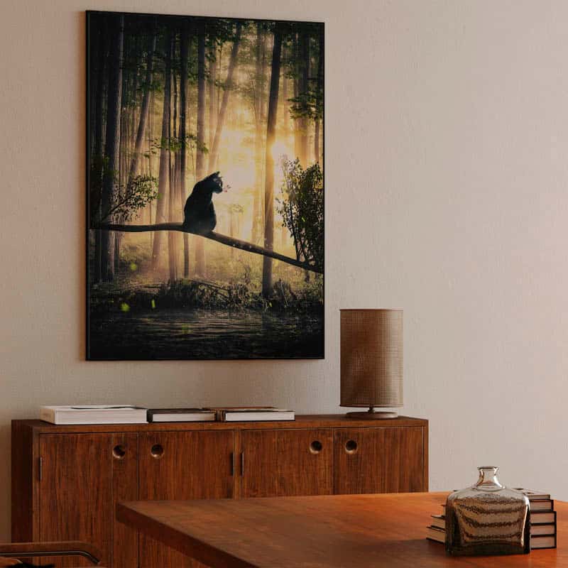 Cat, Sun and Forest thumbnail 3