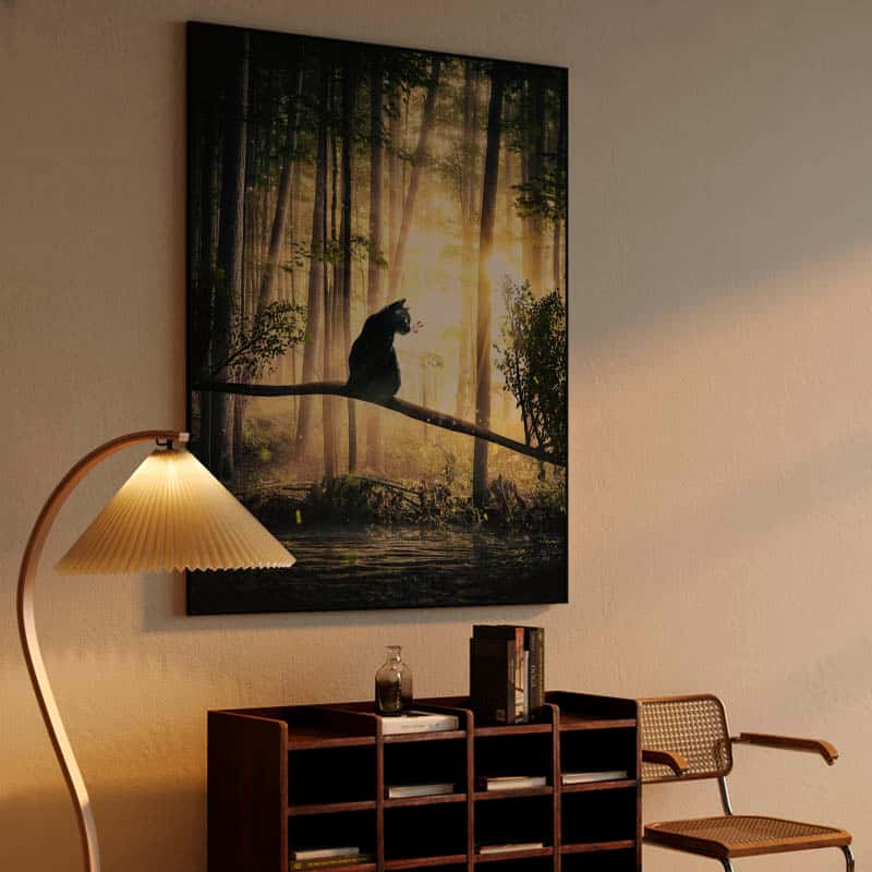 Cat, Sun and Forest thumbnail 4