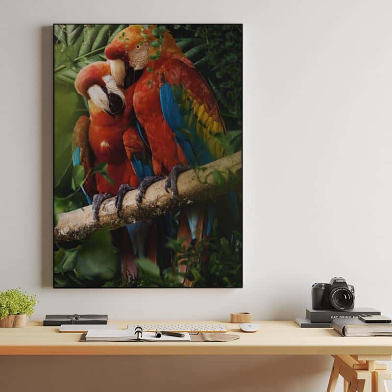 Beautiful Parrots thumbnail 2