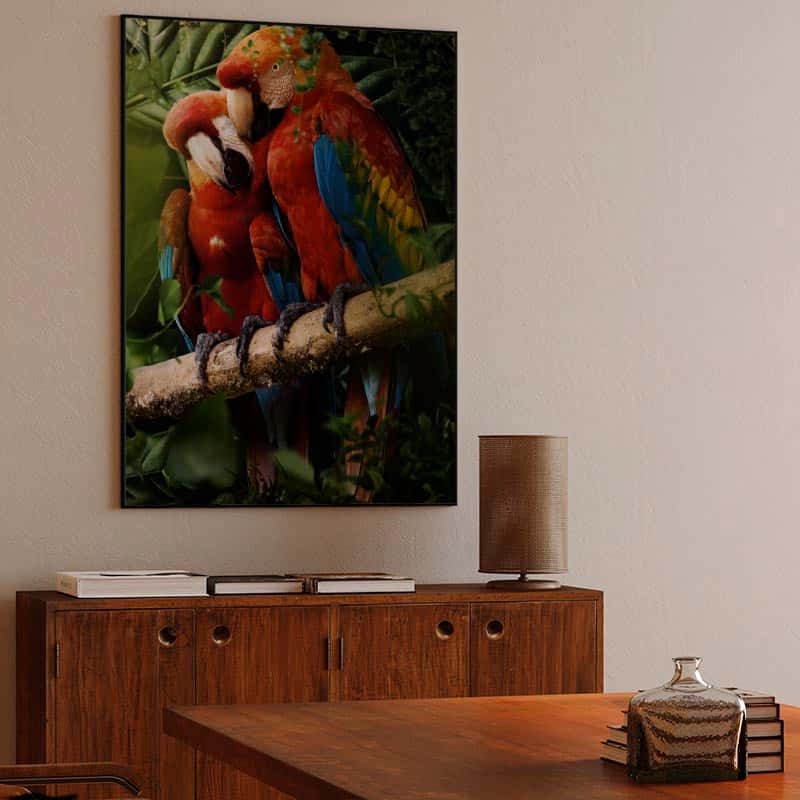 Beautiful Parrots thumbnail 3