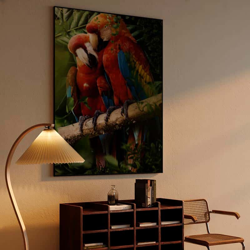 Beautiful Parrots thumbnail 4