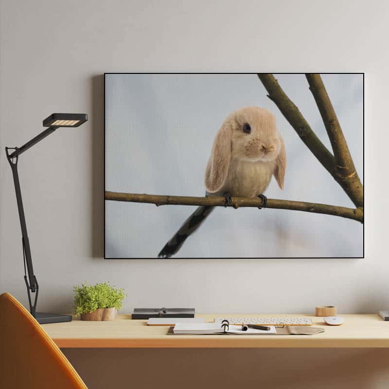 Burb thumbnail 2