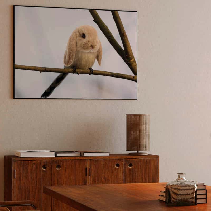 Burb thumbnail 3
