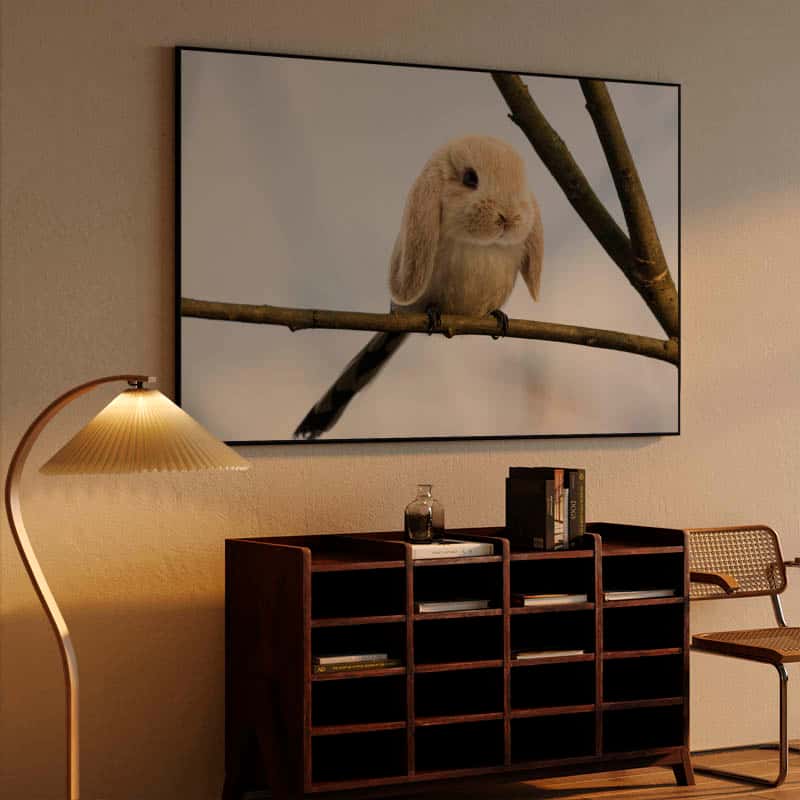 Burb thumbnail 4