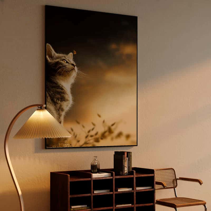 Cat thumbnail 4