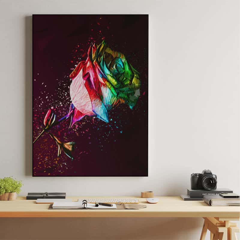 Colored Rose thumbnail 2