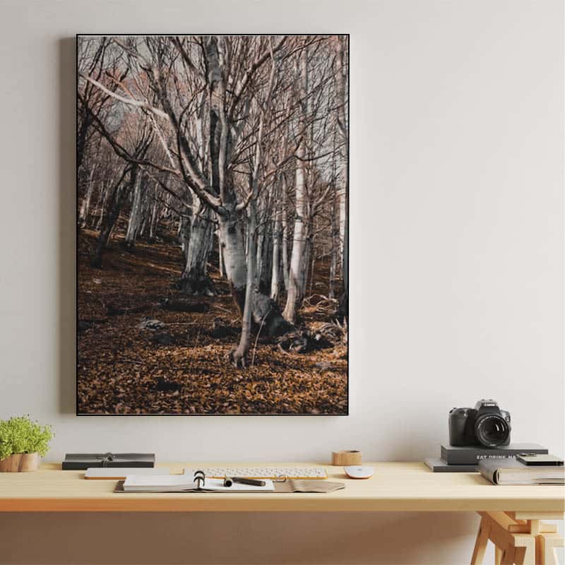 Forest thumbnail 2