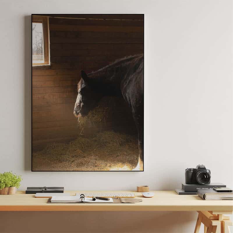 Horse in stable thumbnail 2