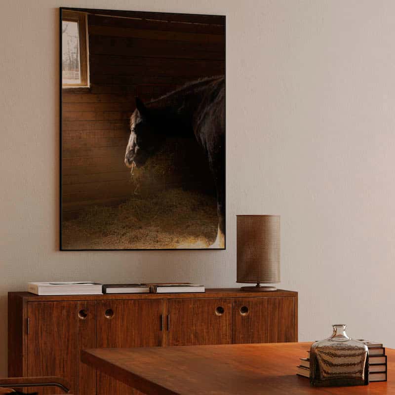 Horse in stable thumbnail 3