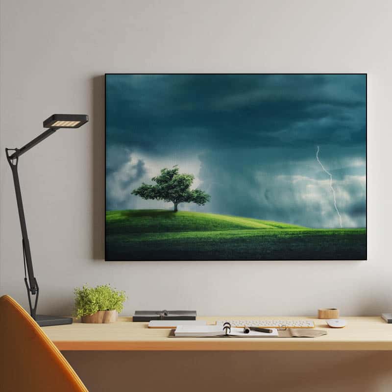 Tree Alone thumbnail 2
