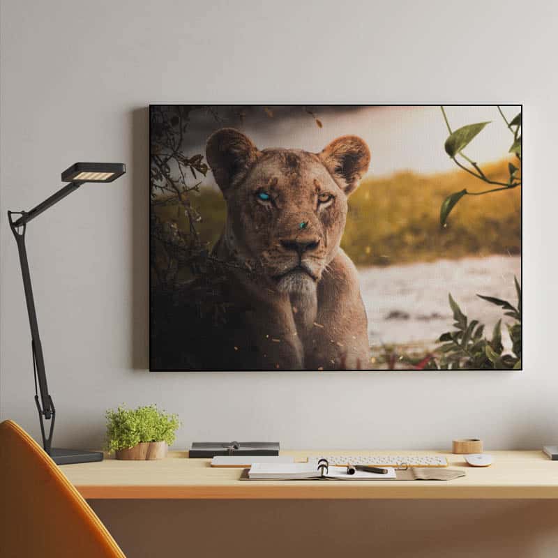 Wounded Lion thumbnail 2