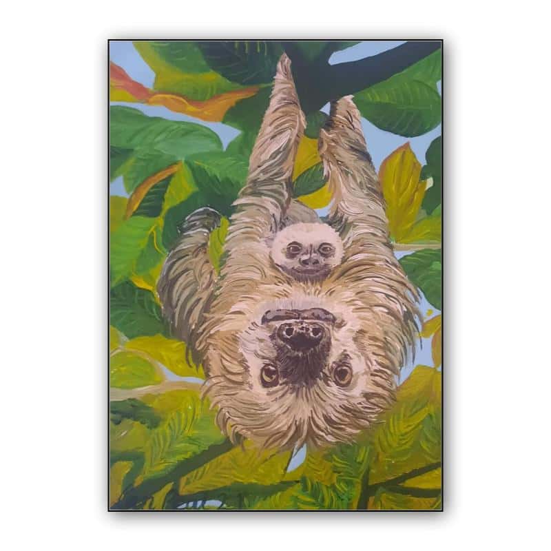 Mother and child Sloths thumbnail 1
