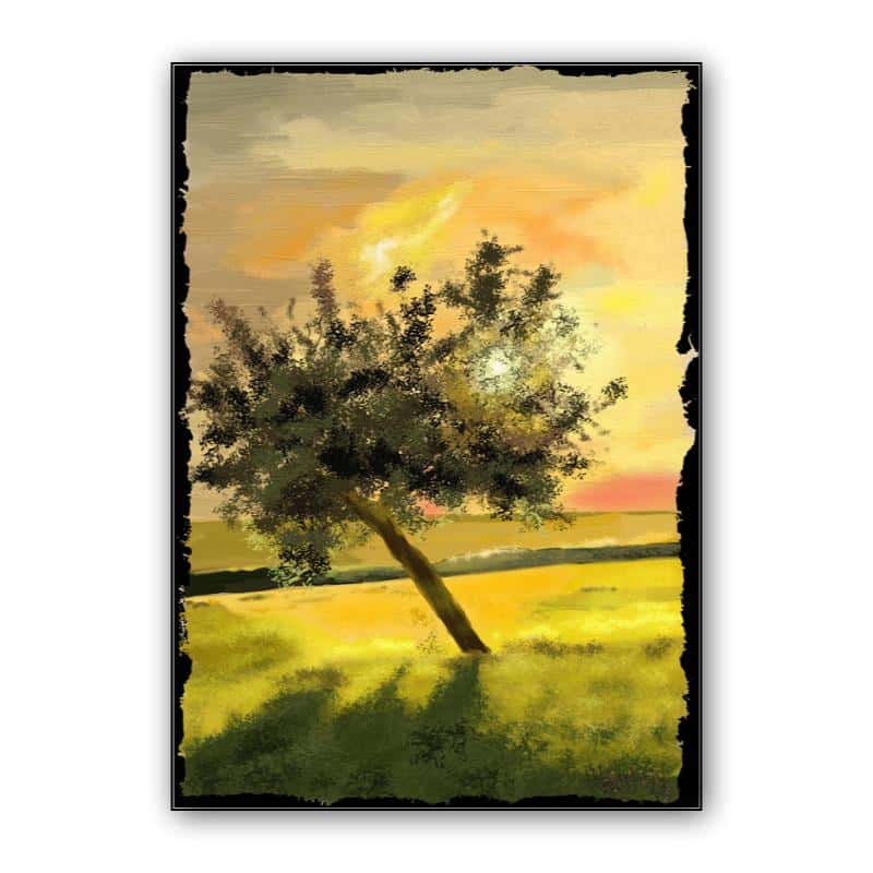 Sunset in tree thumbnail 1