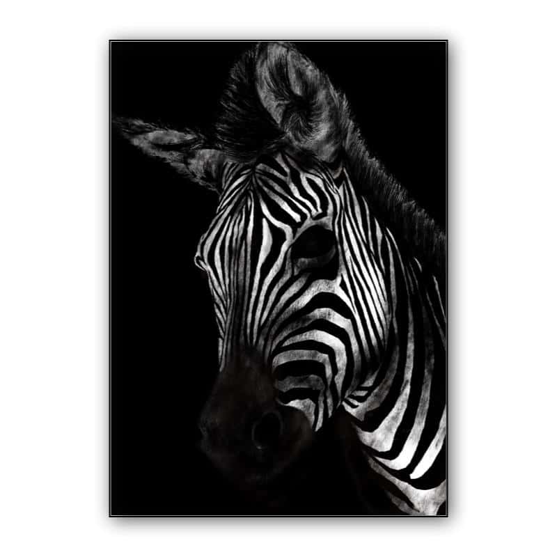Zebra thumbnail 1