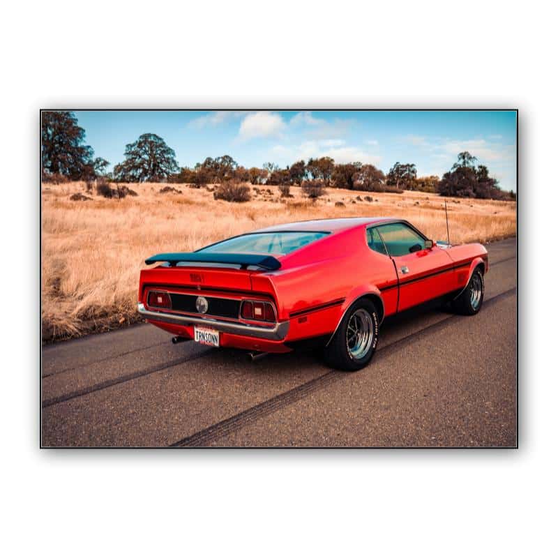 Ford Mustang Mach 1 thumbnail 1