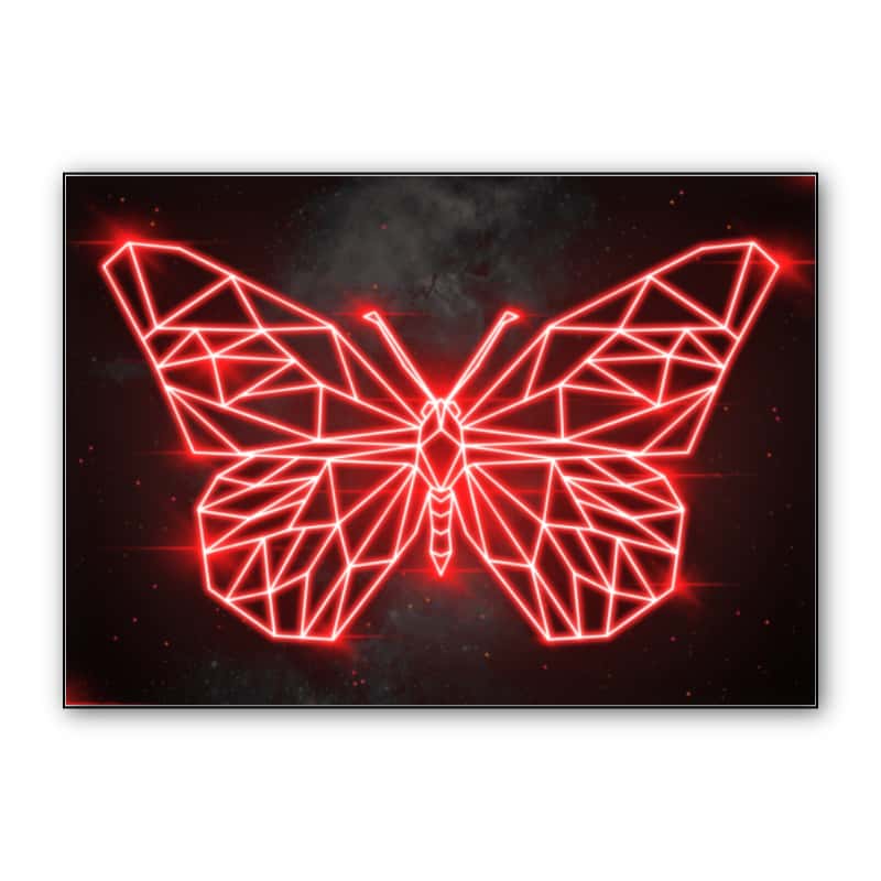 BUTTERFLY thumbnail 1