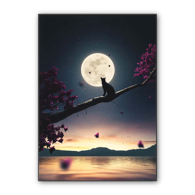 Cat Moon and Stars 3D thumbnail 1