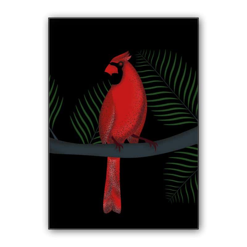 RED or BIRD thumbnail 1