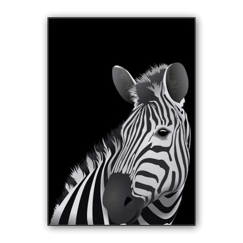 Zebra - black background thumbnail 1
