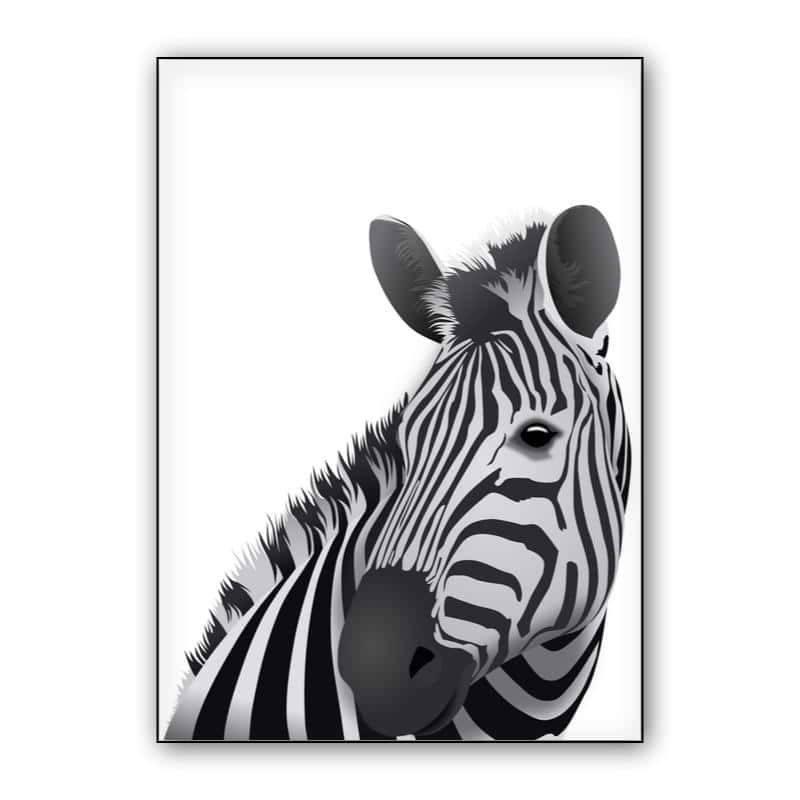 Zebra - white background thumbnail 1