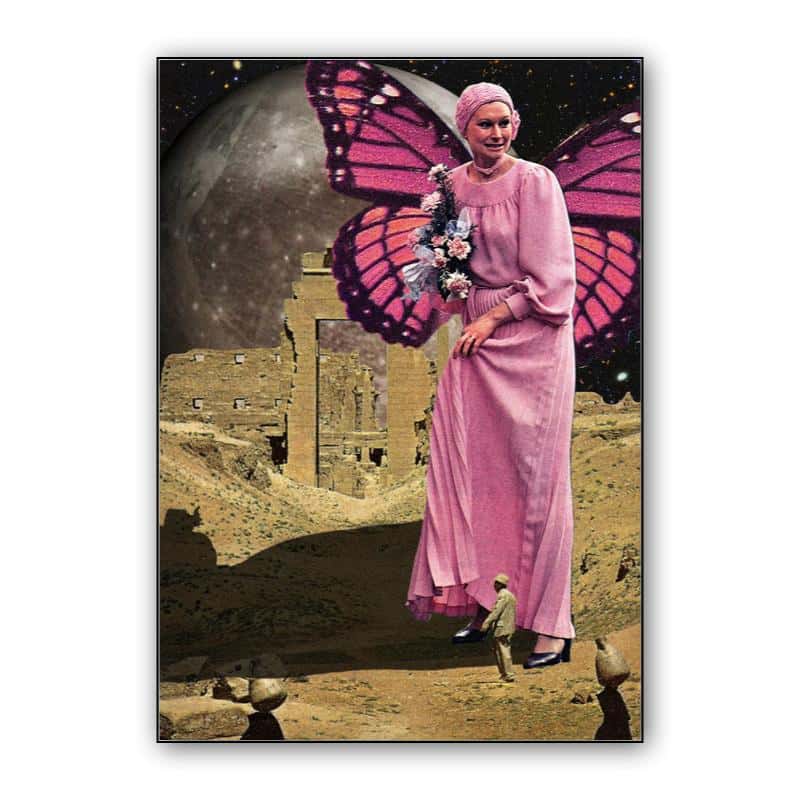 Butterfly thumbnail 1