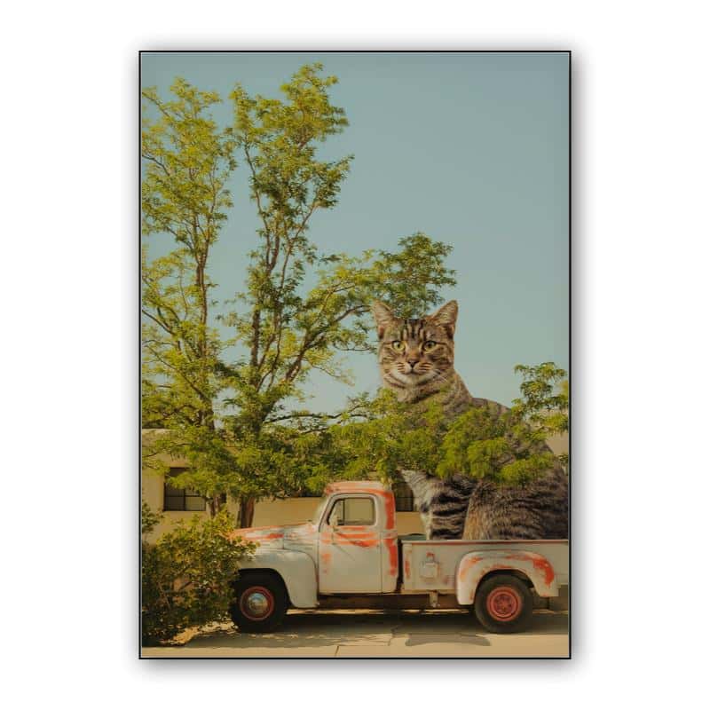Summer and cat thumbnail 1