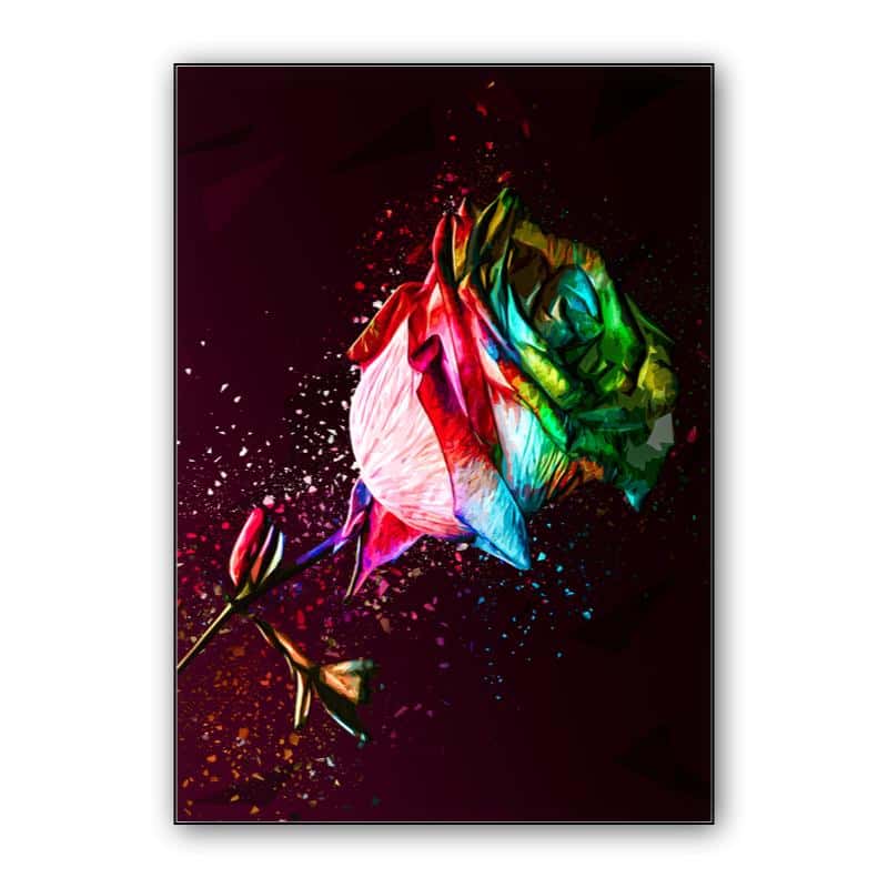 Colored Rose thumbnail 1