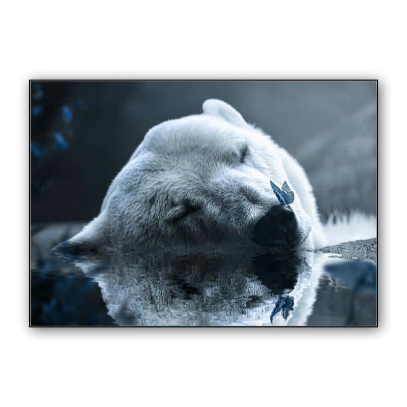 Polar Bear thumbnail 1