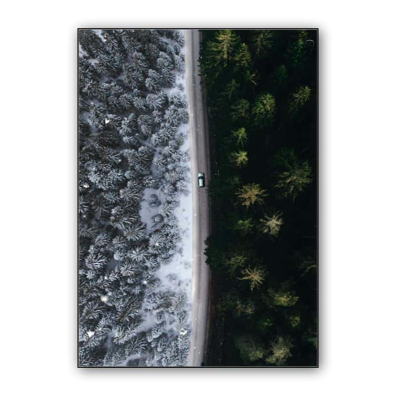 Winter Summer thumbnail 1
