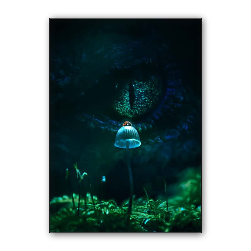 Predator thumbnail 1