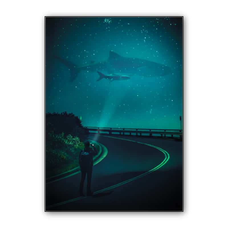 Shark in the Sky thumbnail 1