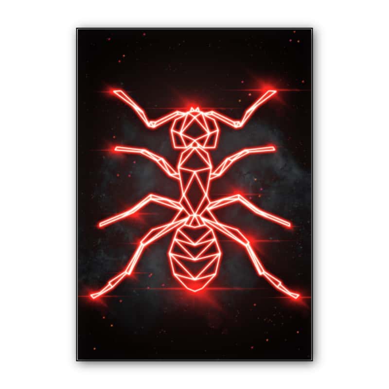 ANT thumbnail 1