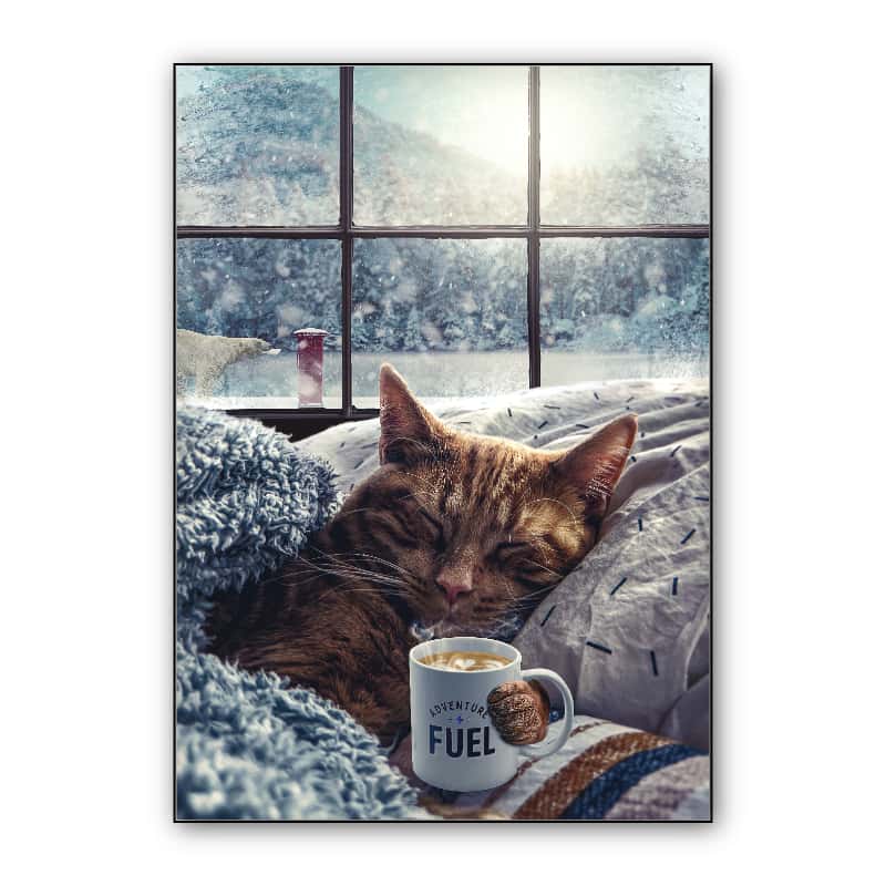 Winter Cat thumbnail 1