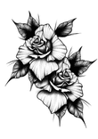 Roses thumbnail 5