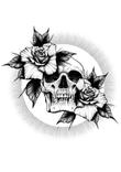 skull and roses thumbnail 5