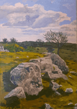 Pencoed common thumbnail 5
