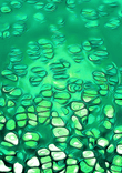 Green thumbnail 5