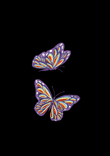 Rainbow butterflies thumbnail 5