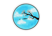 Cherry thumbnail 5