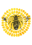Bee You thumbnail 5