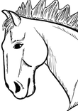 Black and white, horse head thumbnail 5