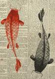 Koi Vintage thumbnail 5