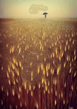 THE WHEAT FIELD thumbnail 5