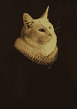 Catus Purrus thumbnail 5
