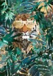 Hip hop tiger in the jungle thumbnail 5