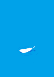 Superfluo thumbnail 5