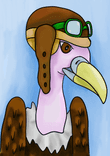 Pilot vulture thumbnail 5